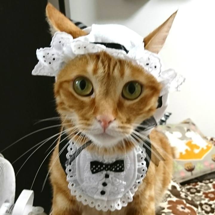 9f6aac67 edfb 45ad 8b29 872e48380700 1533466948160