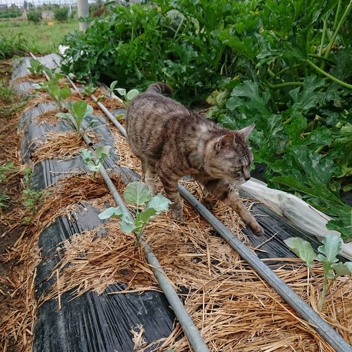 9f6aacc5 19cd 4163 a523 46b65edbc948 1566080724862