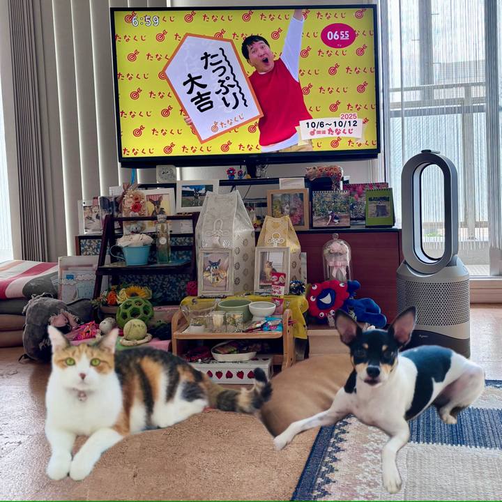 9f6abb37 9f75 4741 a3cc e75c7b23263c 1759711747548