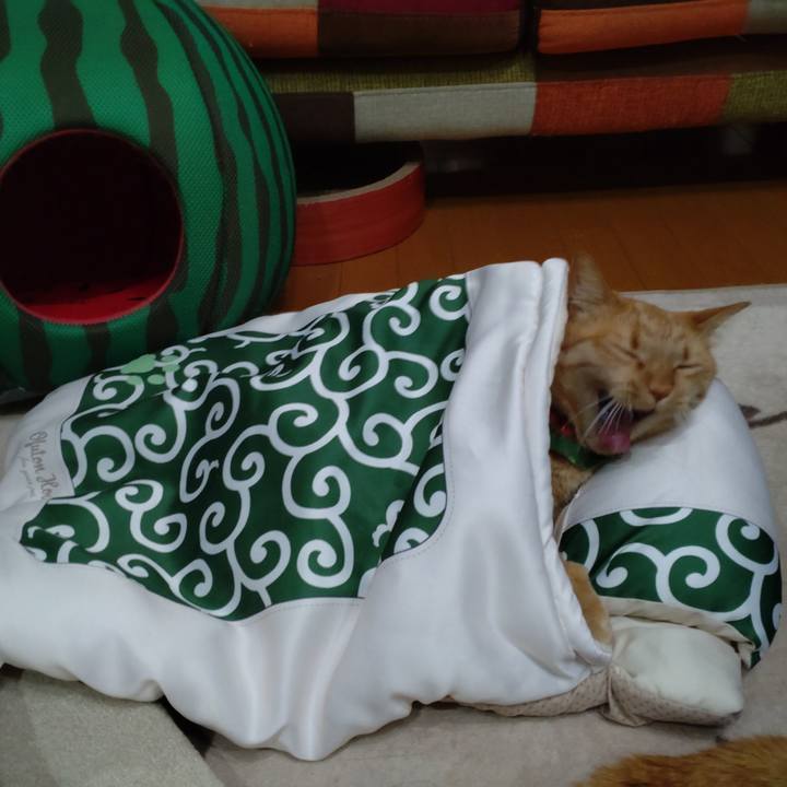 9f6b3b1f 4b32 4a06 877c f3fcc032fbb8 1642254787417