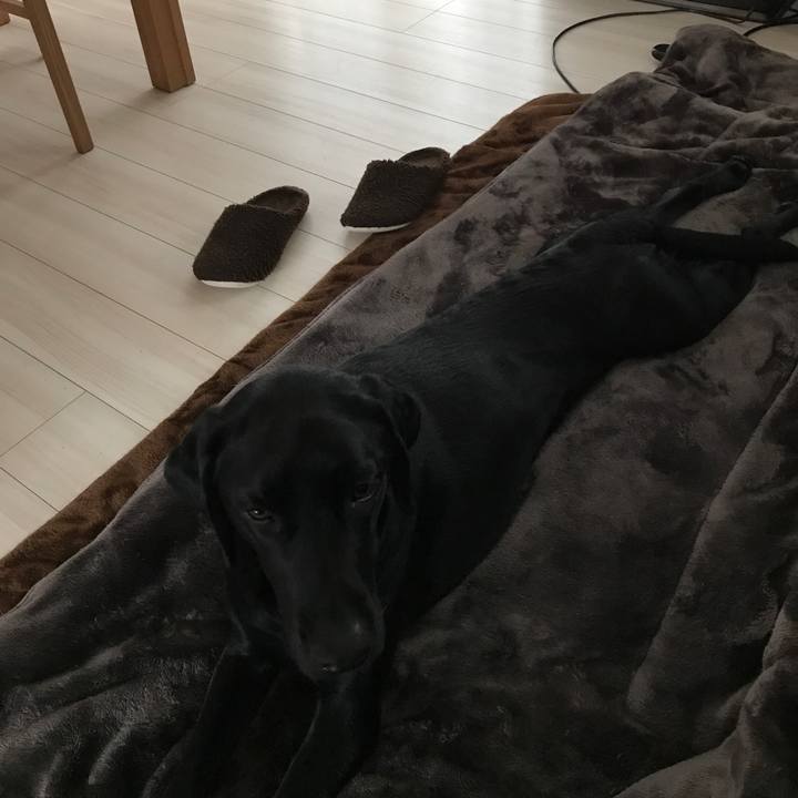 9f6b58ab 8230 464c 9f76 6c0683f056ba 1512887590907