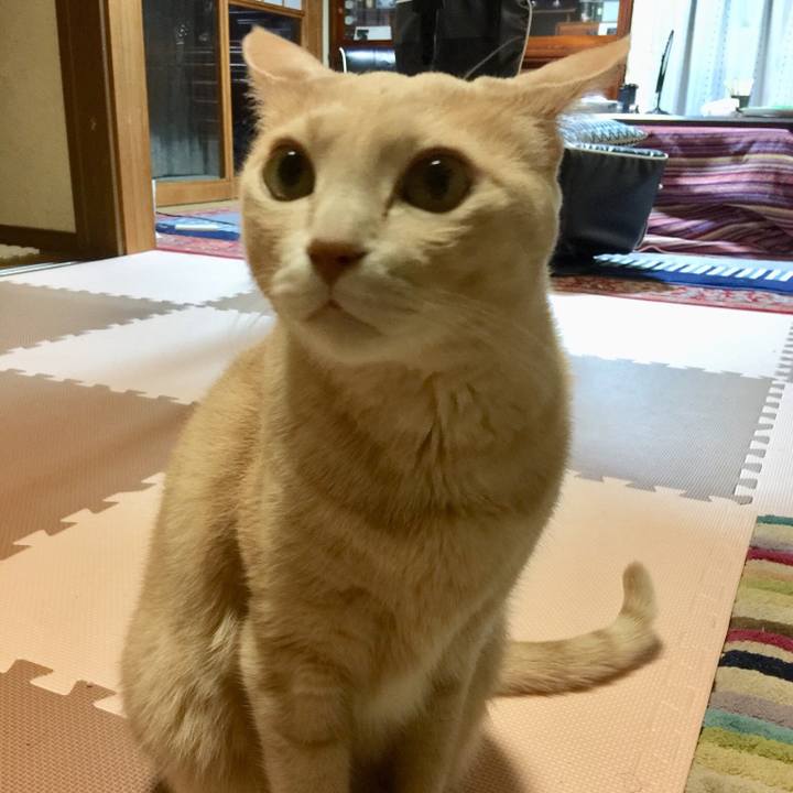 9f6b66b4 e760 4271 8996 94e31add2361 1542113311480