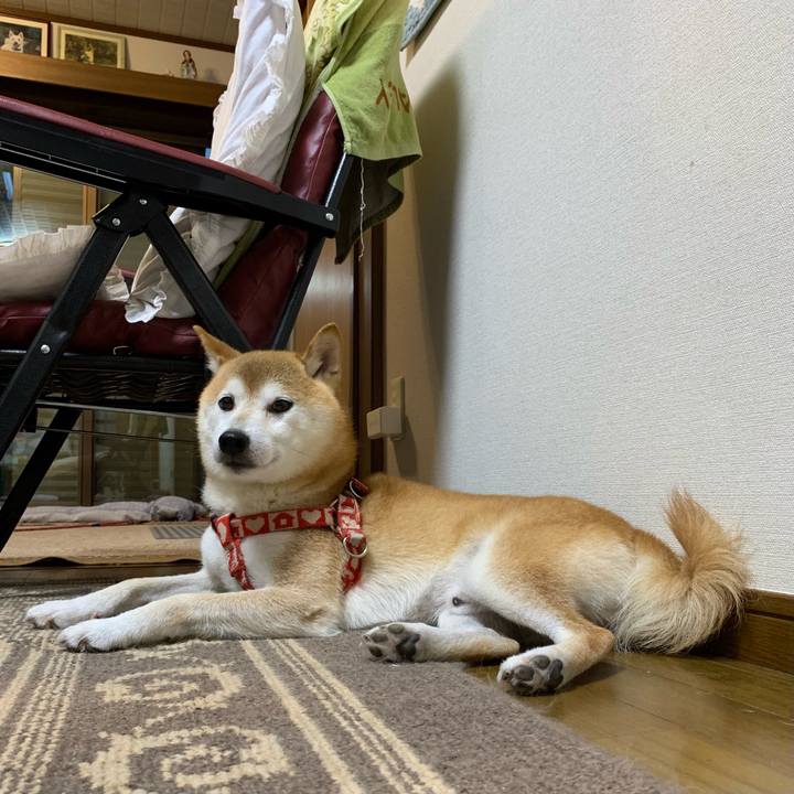 9f6b75e8 4344 4b1c 9e96 00452444be3c 1630753000532