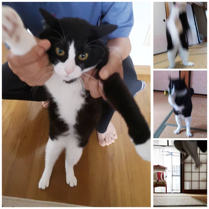 9f6b8bf1 14b4 41fe 8657 82ad98a32743 1592641613138