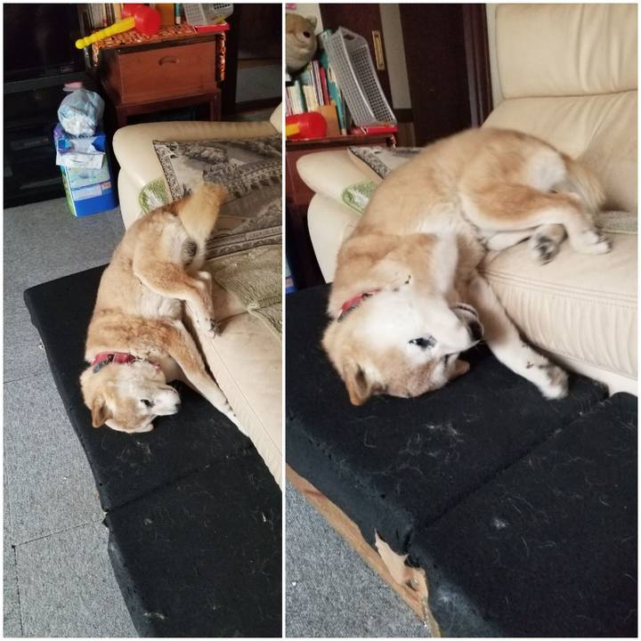 9f6c03d4 00a3 4a0c a222 d8d44ff5a3b1 1773376165245