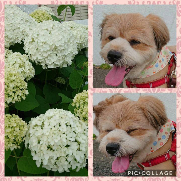 9f6c0845 9575 40d6 b4cb c08d98c1c5ff 1591697129108