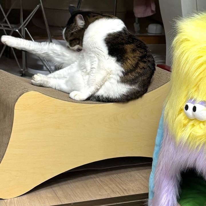 9f6c09e8 cd31 4962 81ce 5a7ba04db3ca 1769870008122