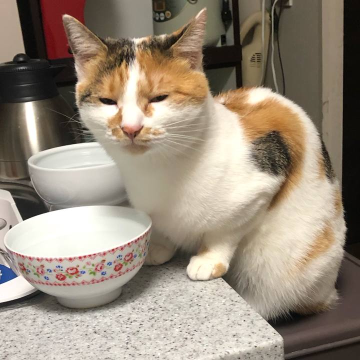 9f6c1f74 a974 4278 bc9c e8f54be43134 1604932701056