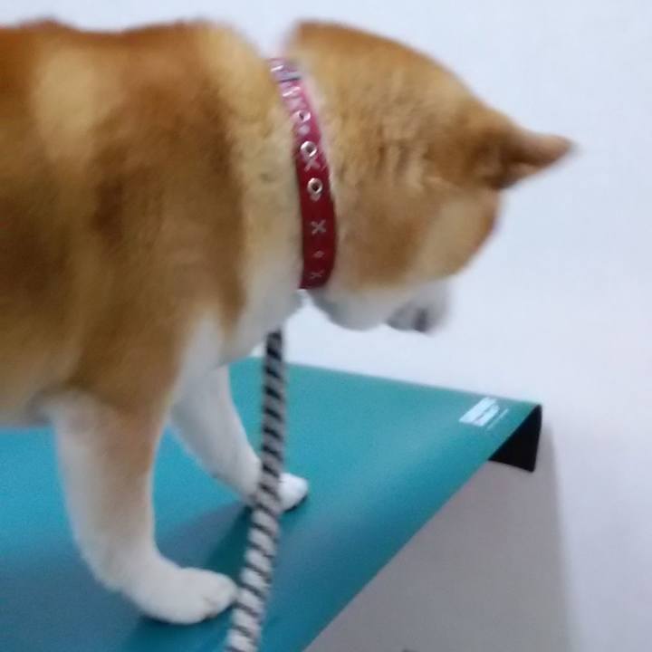 9f6c2749 5d29 45e2 9125 c7b20b4bf7db 1648629634713