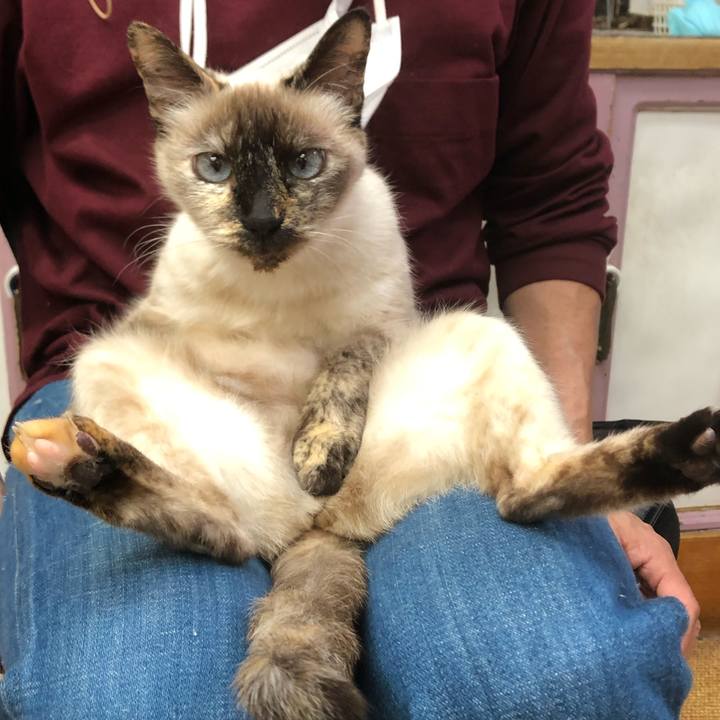 9f6c5664 0a94 4e24 bb40 e4d0cc0a0ada 1645484801690