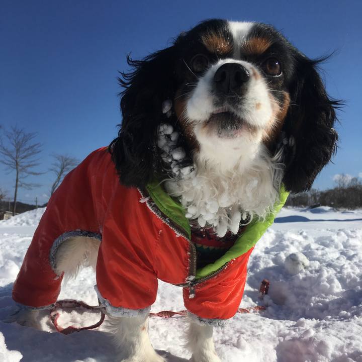 9f6c8afc 21dd 484d 9877 e34de0d95555 1517832621200