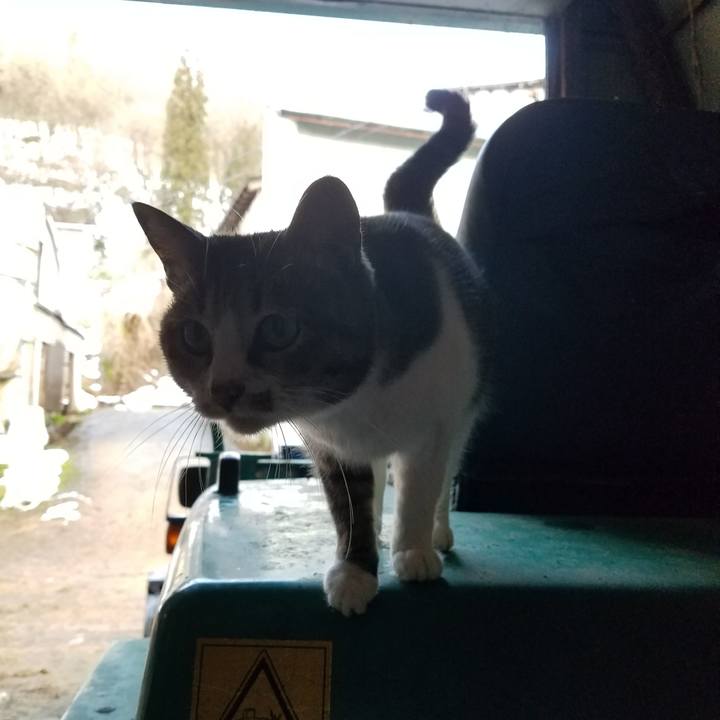 9f6c9339 c609 4cc2 b5d8 422914d16c84 1578477786419