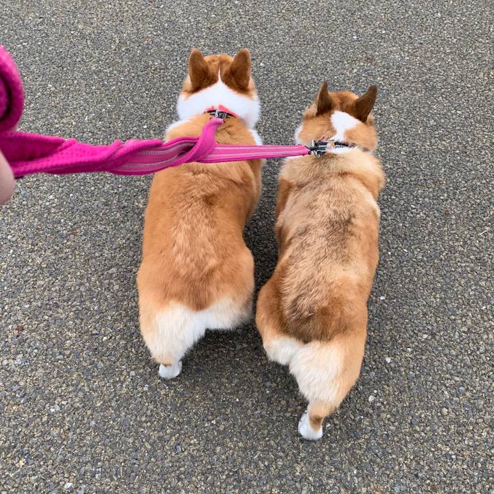 9f6cb512 4ab8 476d a646 d48fb7d86316 1557410853934