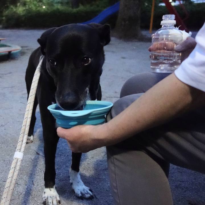 9f6cd266 f251 40e6 b8e0 16267ec636bc 1654080741946