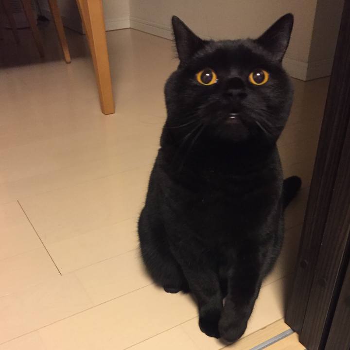 9f6cddca 7075 4c21 9428 72bf604170b1 1520251638917