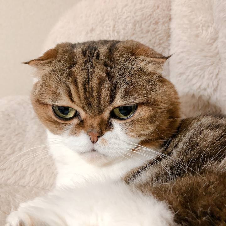 9f6d0a39 26e7 4d2e baea c38d0a563f60 1576917045345