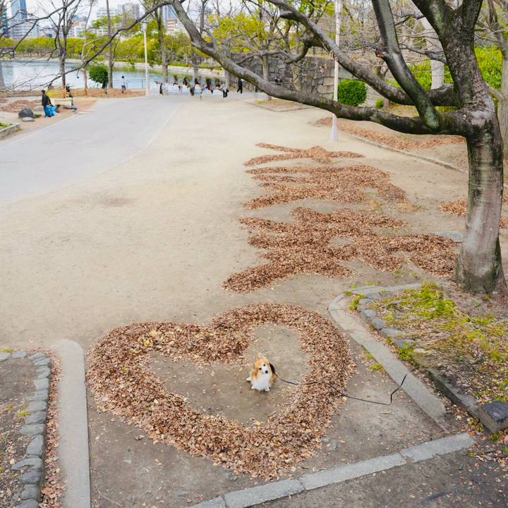 9f6d5708 0299 4861 be2c 5554a0f0eea0 1767448752751