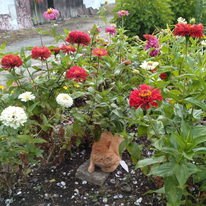 9f6d68ab d630 499b 960e 908f2594eac1 1690927891867