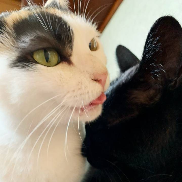 9f6d93dc 09d0 4b31 bcc9 389b5c12f908 1595471280316