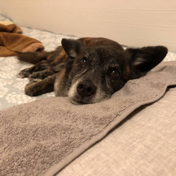 9f6da16a 1fa4 41ea b1c4 bfb3cd65db09 1621197665054