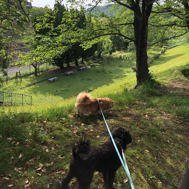 9f6dfad0 7aeb 4cc3 968d f43ef239e088 1556839122256