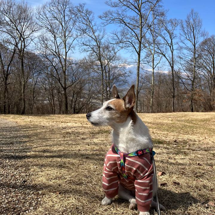 9f6e2044 03e2 4ebb 9c4e d701a67a2265 1677898863597