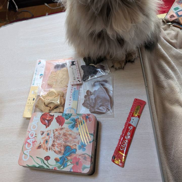 9f6e2140 f46d 4c7e 965c 685ba4f58c24 1740117406413