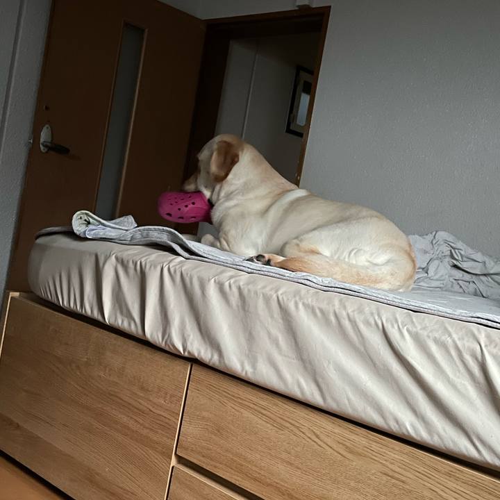 9f6e3a43 046e 44f1 9035 d245048767a8 1658178784245