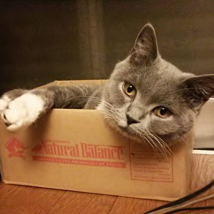 9f6e51e9 3df5 4607 8edb b38d59501b48 1541333886032