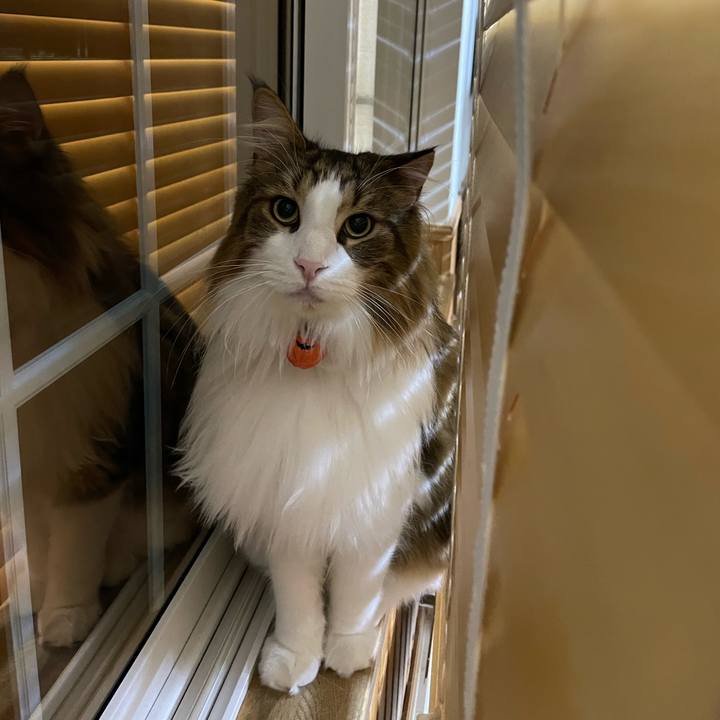 9f6e54a9 4354 494d a5a9 3dba5b0cf17c 1696968644687