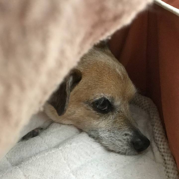 9f6e70c4 3906 4887 9470 95f449c05e38 1582625462070