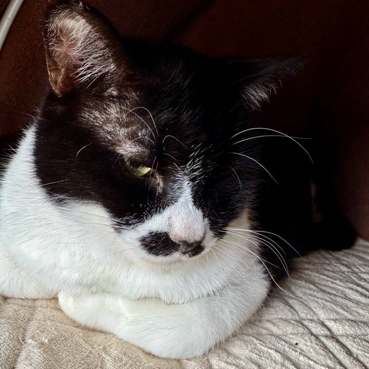 9f6e73f0 211b 4cf0 8308 320c6e68aeae 1765458583836