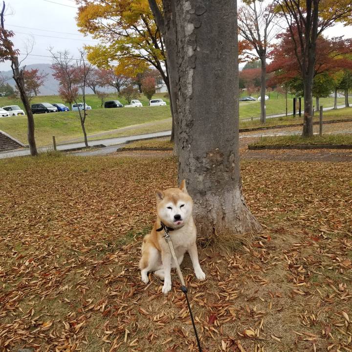 9f6e9492 008a 4980 98bd 9dbe0a12879b 1698462354233