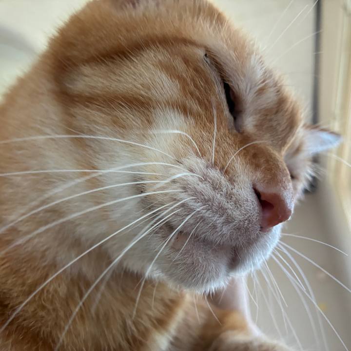 9f6eab5c a556 4e6e b32e c3f837ed6ece 1759623482332