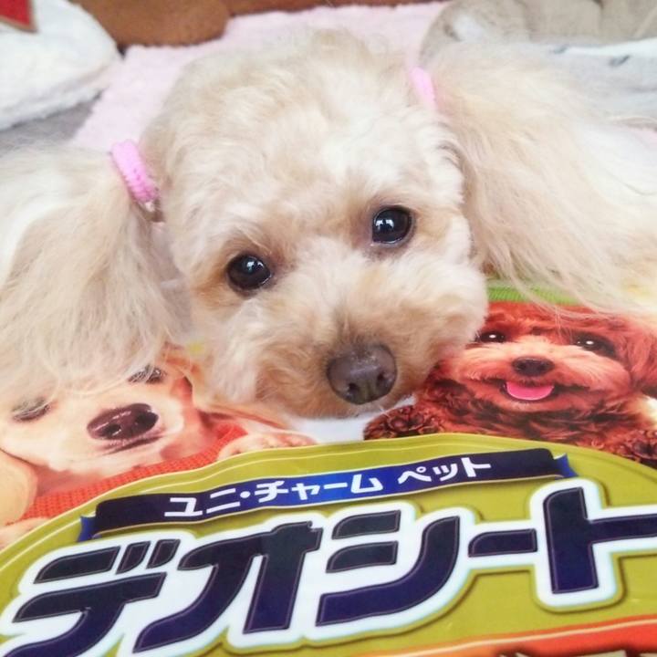 9f6ef182 c9f1 4714 bef9 946d882daaf3 1519730113750