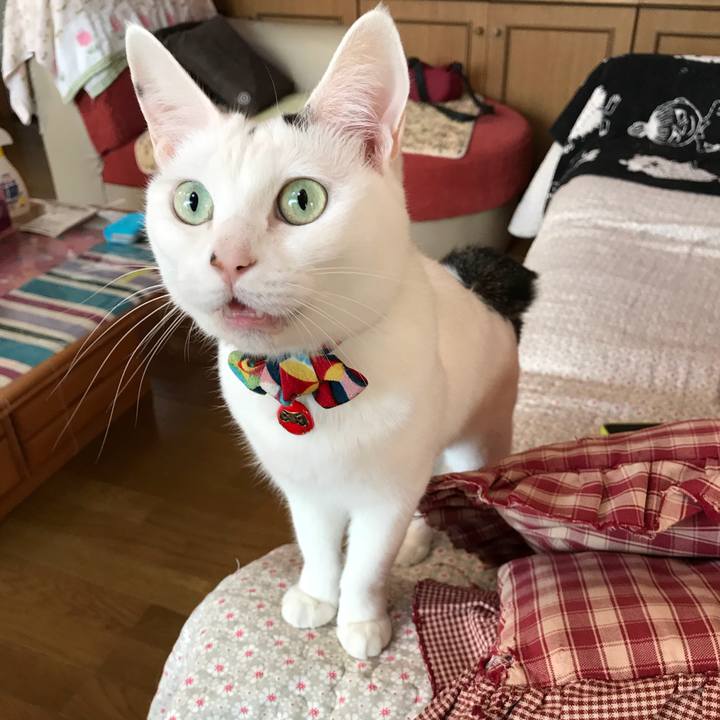 9f6f269f e820 4460 affb 47186b29b603 1528668294656