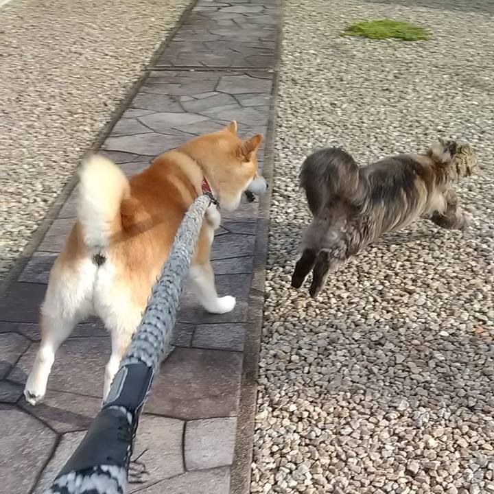 9f6fa921 0961 413e 91f7 440721321348 1687512911249