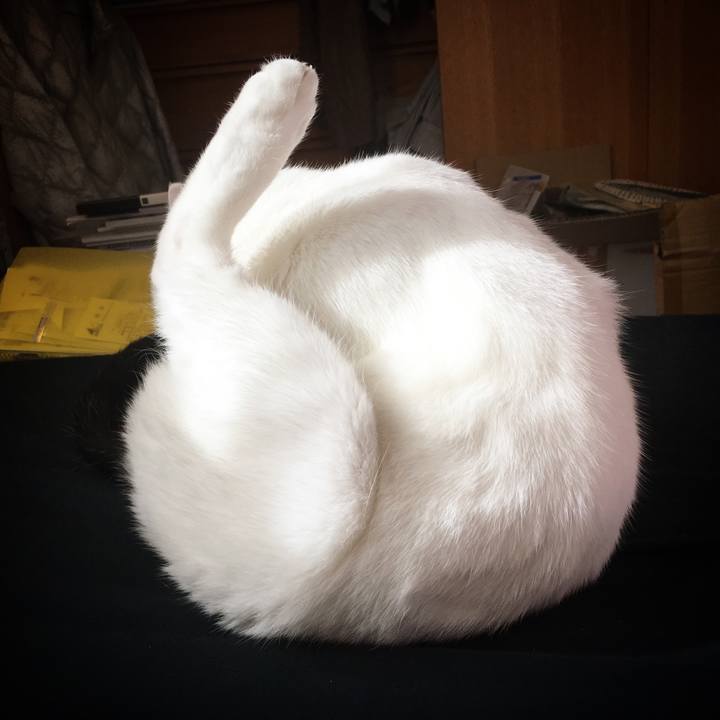 9f6fe3c4 0901 400c 9957 a12b13d1ff08 1529621358802