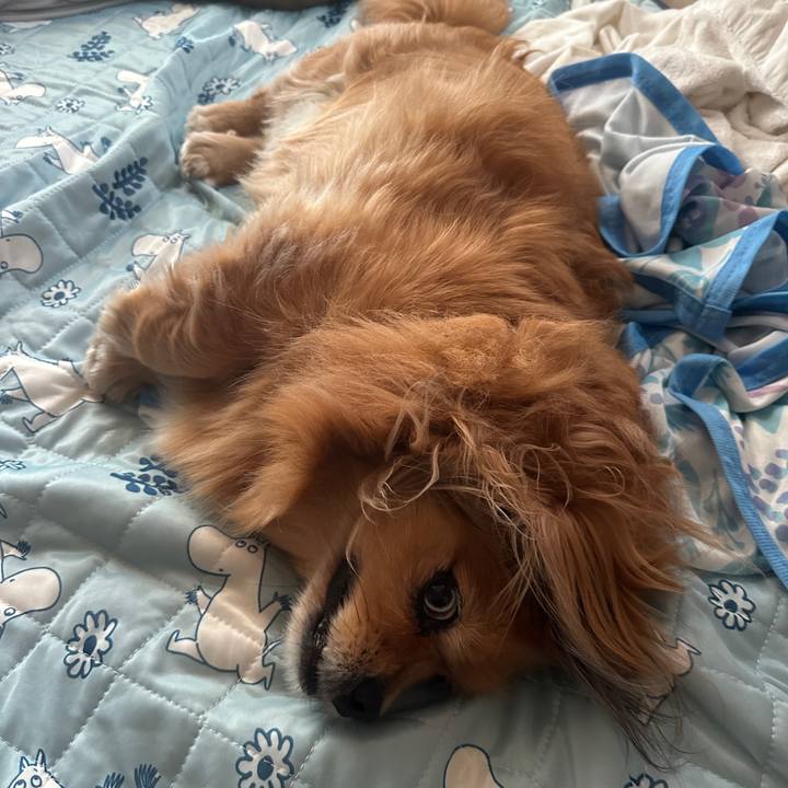 9f7009a6 c78c 4dd9 9831 58bb7dd67fa3 1750281215221