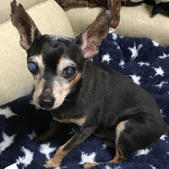 9f701f49 4a84 481e 8789 6b0baa2e06e1 1564649270379