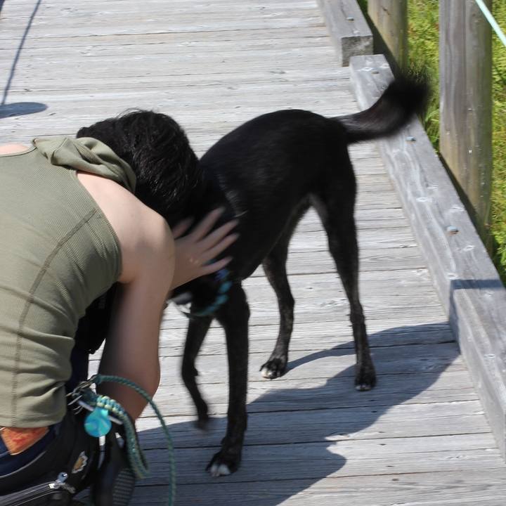 9f706a53 2f89 4860 9c5d 700d91a61d02 1534165114755