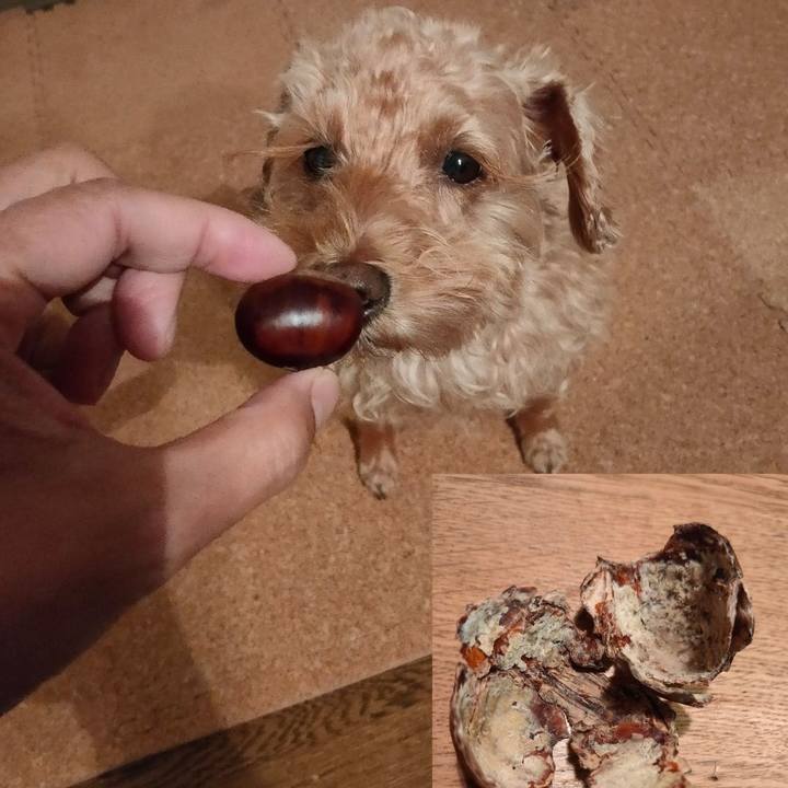 9f70c426 1f2b 49a4 9214 613f98653f6a 1603229895121