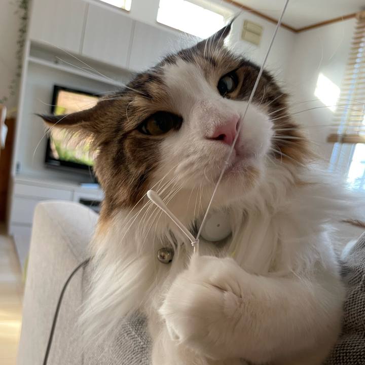 9f70e32a e160 47ae 9602 1b0c201f9217 1650060492668