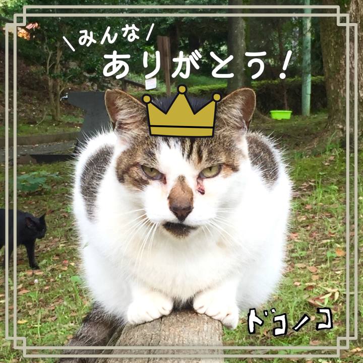 9f70ec0c b38b 47cd 832d 43ac24996cd0 1622874141105