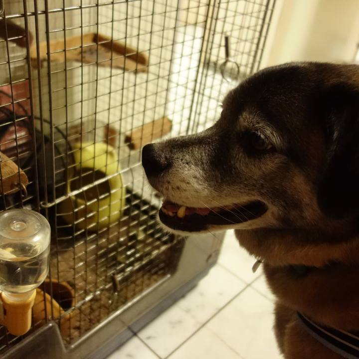 9f7109bd 3bc5 4521 95a4 496f4957f2ab 1559387830900