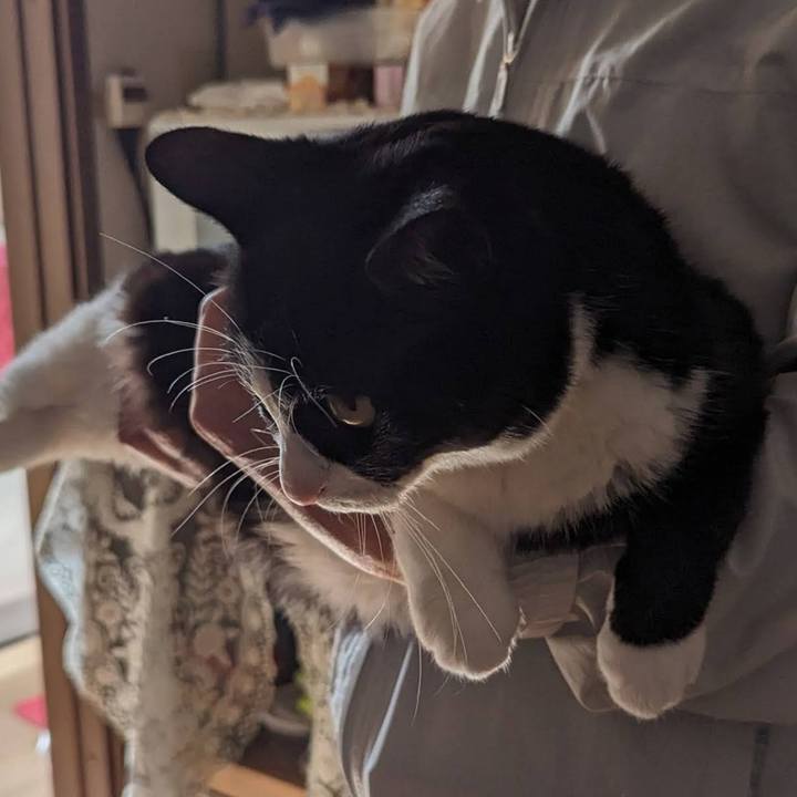 9f710ea2 9470 4e3f 9d94 ef8ea1253de8 1711852550237