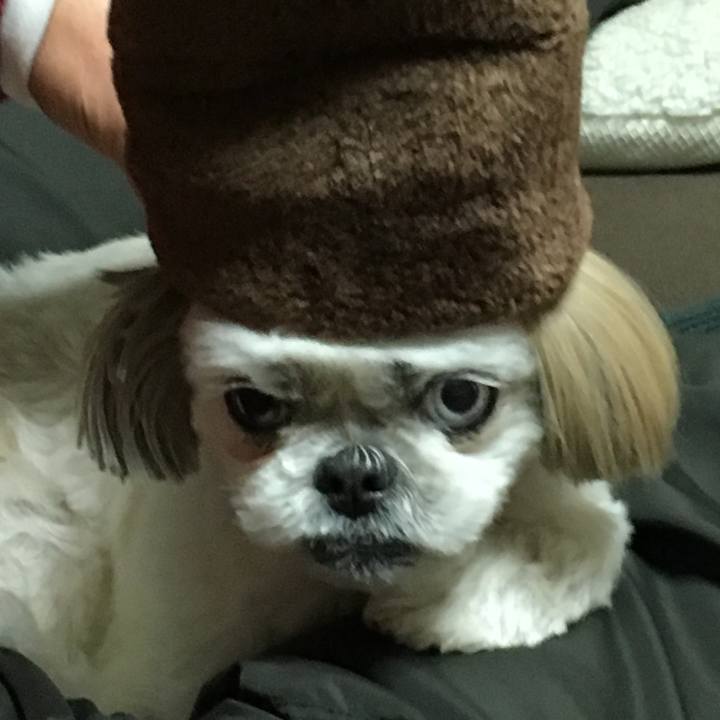 9f714fe9 86a4 4332 a172 ca1c8256efdb 1549023363413