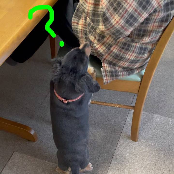 9f715194 0429 4c33 827c d91cbc5e95e5 1610058821900