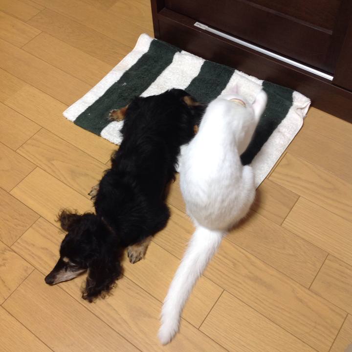 9f71d031 d391 4a3f bc6b c28936184e78 1629930759647