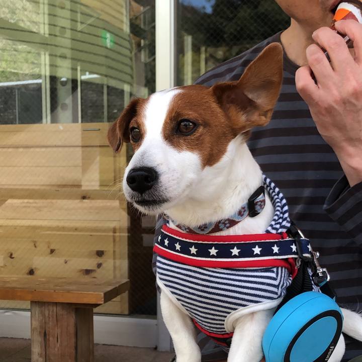 9f72175a a9b4 4a31 bff8 9ea7a24dfc8e 1617618600267